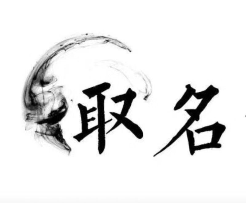  临安宝宝取名 大师一对一人工起名