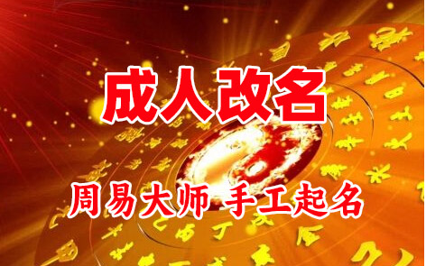 临安成人改名-找大师一对一改名先分析后改名